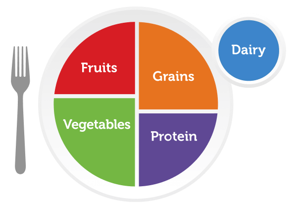 MyPlate Logo: Fruits, Grains, Vegetables, Protein and Dairy