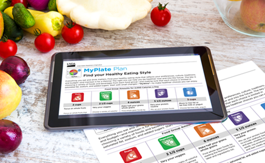 myplate plan screen ipad