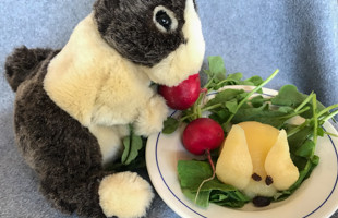 Pear Rabbit on a plate next to a stuffed rabbit doll