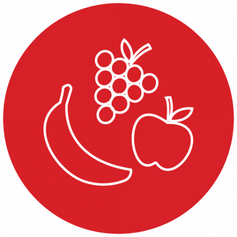 Fruit food group icon