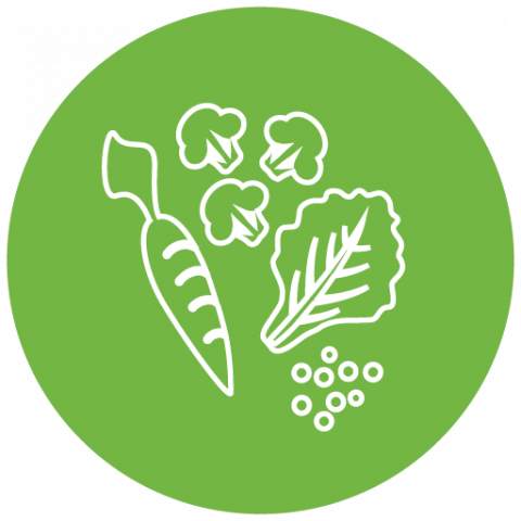 Vegetables food group icon