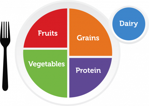 MyPlate logo with labels