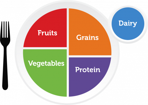 usda food calorie chart