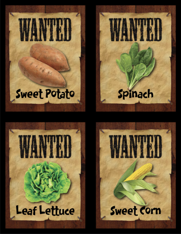 Nutrition Tri-Fold Poster #MyPlate #kids #poster #nutrition #project  #trifold