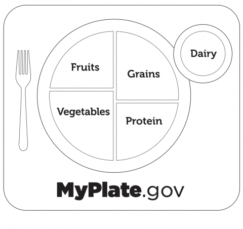 Myplate deals food groups