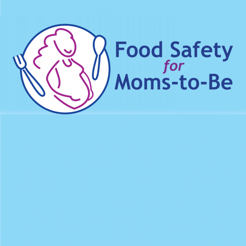 MyPlate for Expecting Moms Poster, Pregnancy Nutrition