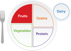 fruits quiz