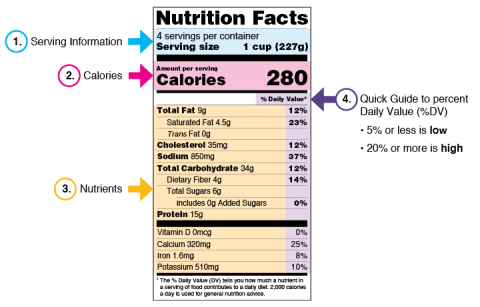 Nutrition for Seniors: MyPlate Infographic and the Importance of