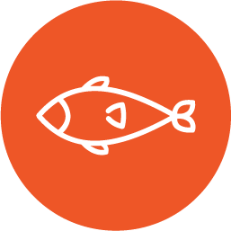 icon fish