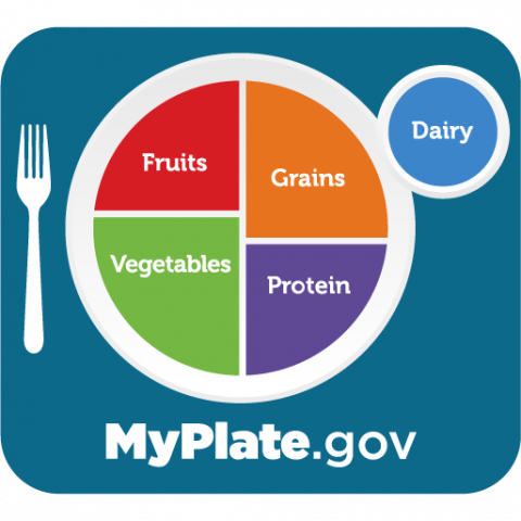 icon myplate logo on blue background