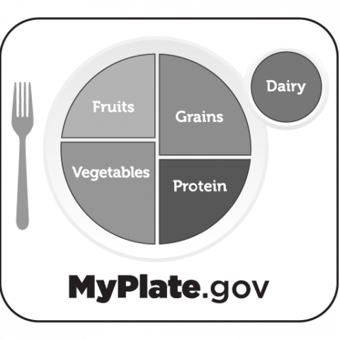 icon myplate logo in greyscale