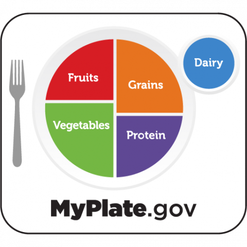 icon myplate logo multi color