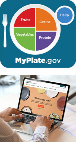 USDA MyPlate Nutrition Information Toolkits For Community And ...