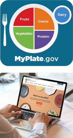 myplate logo blue and man typing on laptop
