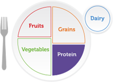 protein foods quiz