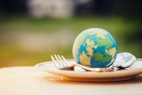 globe on a plate