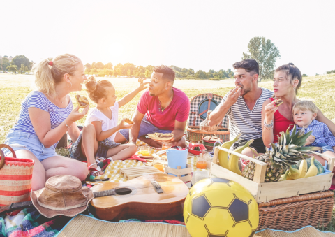 picture of group of friends and family in park eating healthy foods and celebrating summer together
