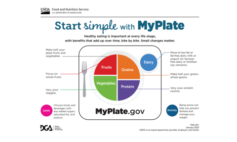 USDA MyPlate Handouts | Lupon.gov.ph