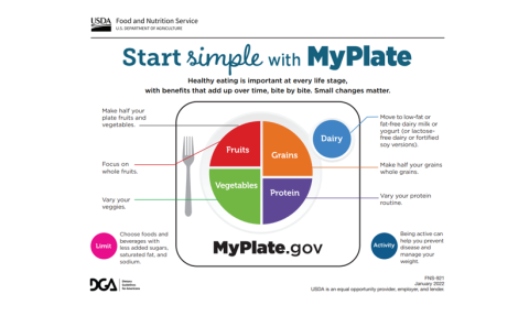 start simple with myplate miniposter image