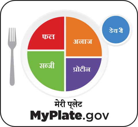 MyPlate icon in Hindi