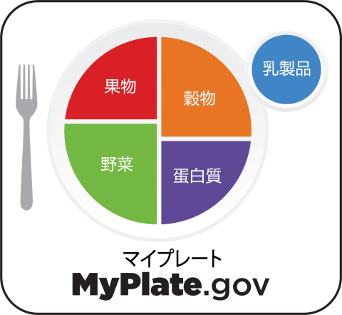 MyPlate Japanese