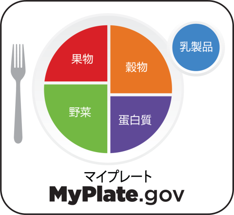 MyPlate icon in Japanese