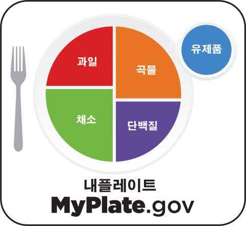MyPlate Korean