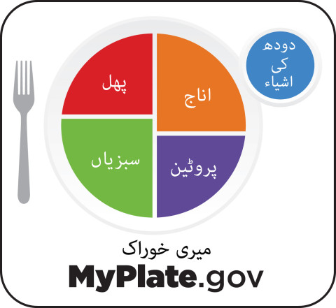 MyPlate icon in Urdu