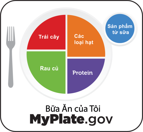 MyPlate Vietnamese