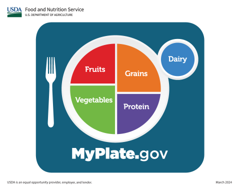 small image of the MyPlate Poster - Blue 20 inch by 16 inch