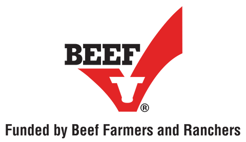 text logo for beef checkoff which also contains a checkmark and a cow's head