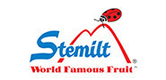 text logo for the Stemilt Company which also contains a drawing of a ladybug on top of a mountain