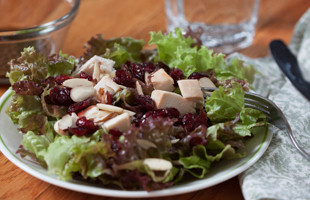 Chicken and Cranberry Salad