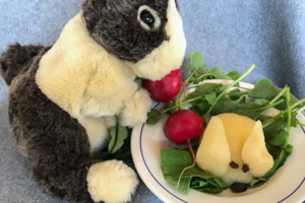 Pear Rabbit on a plate next to a stuffed rabbit doll