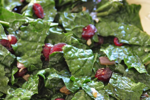 kale and cranberry salad in a bowl