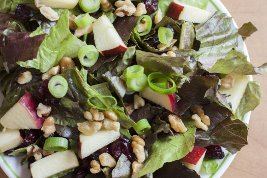 Apple Cranberry Salad Toss