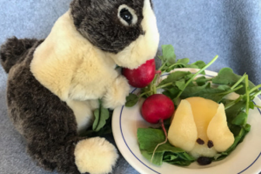 Pear Rabbit on a plate next to a stuffed rabbit doll
