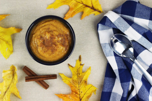 Pumpkin Pudding in a bowl