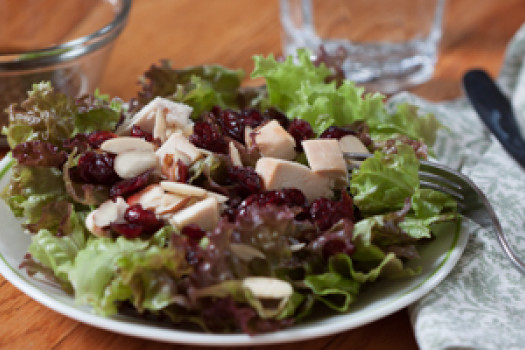 plate of Chicken and Cranberry Salad