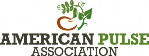 text logo for the American Pulse Association