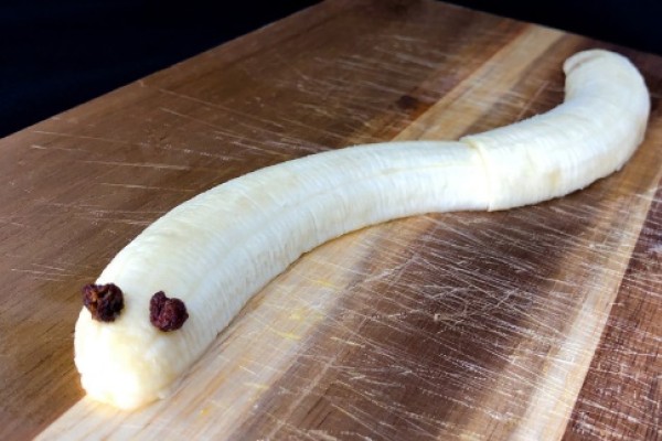 one Fruit Snake