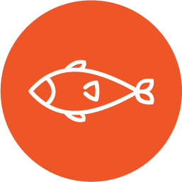 icon of a fish